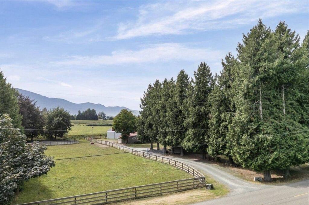 Fenced pasture and tree lined driveway at 42420 Adams Road